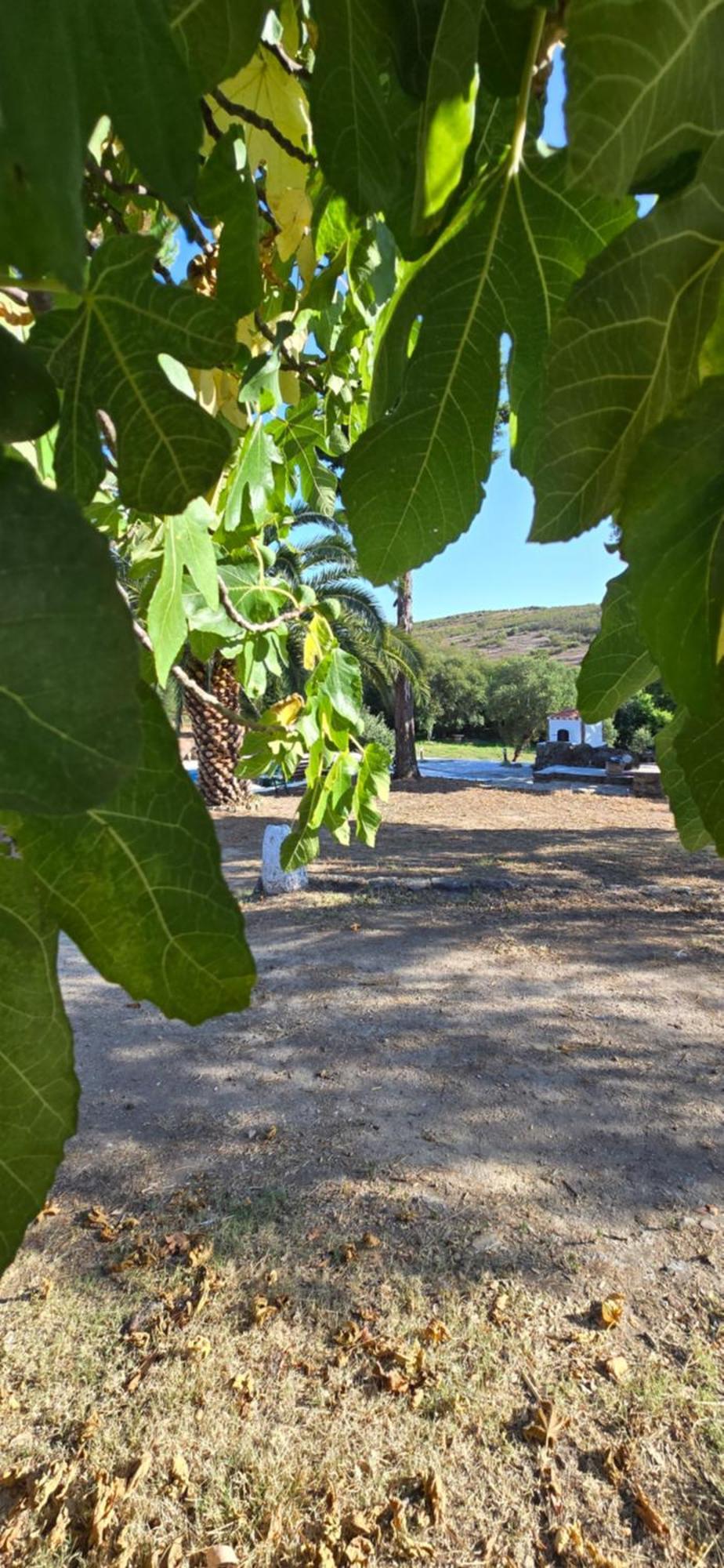 Quinta Da Utopia 维迪堡 外观 照片